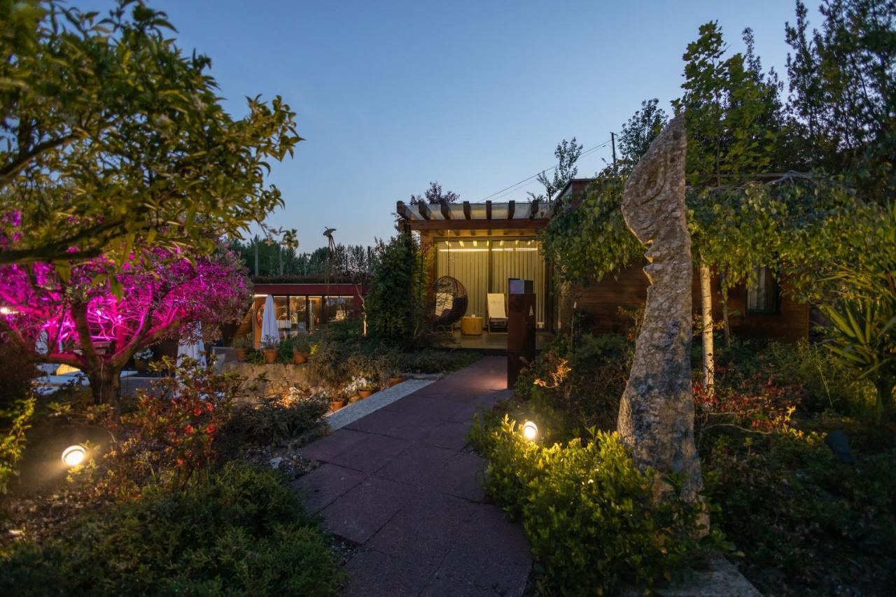 Vale De Sao Torcato Hotel Rural Γκιμαράες Εξωτερικό φωτογραφία