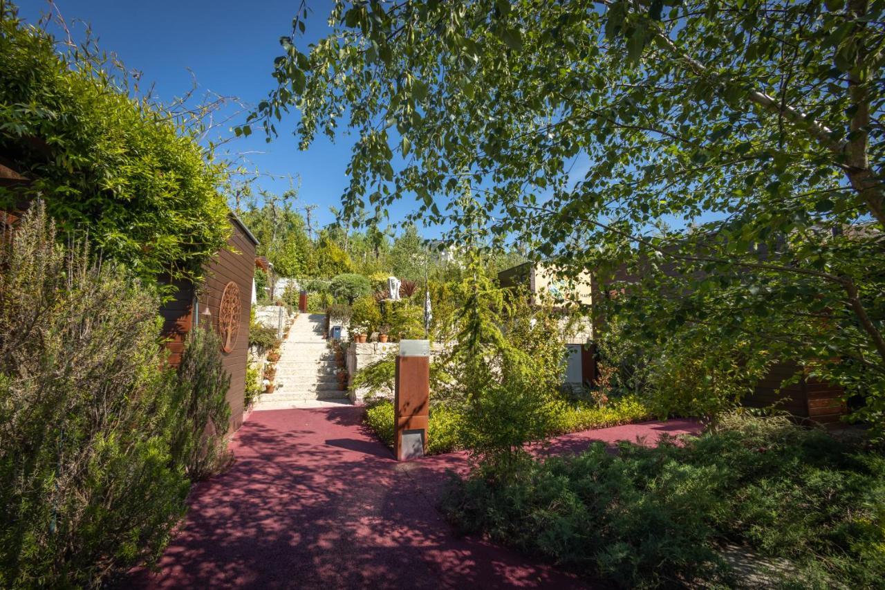 Vale De Sao Torcato Hotel Rural Γκιμαράες Εξωτερικό φωτογραφία
